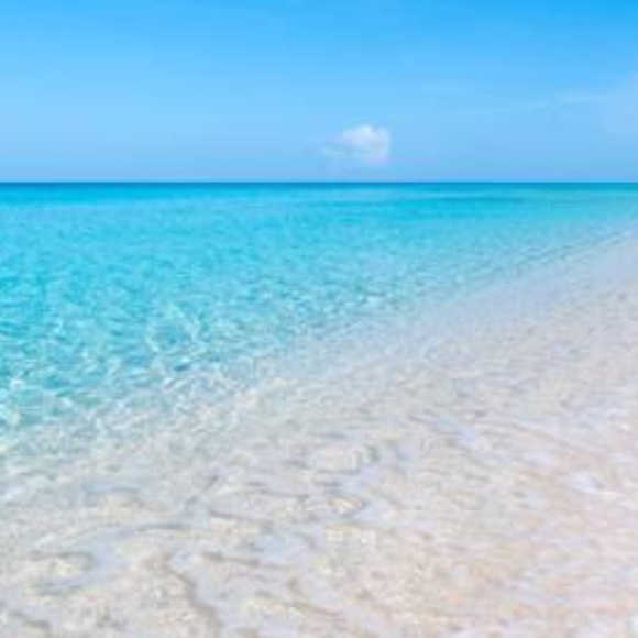 Meet your Posher, Kelly - Picture 1 of 1